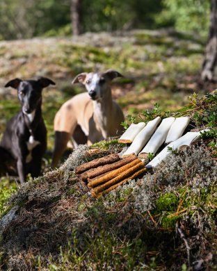Hundgodis & Hundtugg
