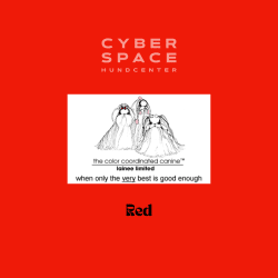 Cyberspace_Hundcenter_Lainee_Wrapping_Papper