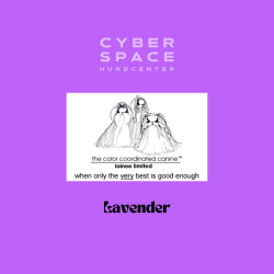 Cyberspace_Hundcenter_Lainee_Wrapping_Papper