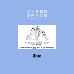 Cyberspace_Hundcenter_Lainee_Wrapping_Papper