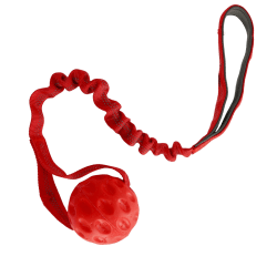 cyberspace_Hundcenter_hundleksak