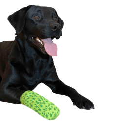 Cyberspace Hundcenter Bandage för hund