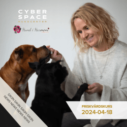 Cyberspace_Hundcenter_Hundmassage_Hundkurs