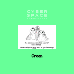 Cyberspace_Hundcenter_Lainee_Wrapping_Papper