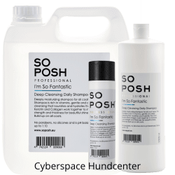 SO POSH Cyberspace Hundcenter Hundschampo Fantastic