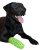 Cyberspace Hundcenter Bandage för hund