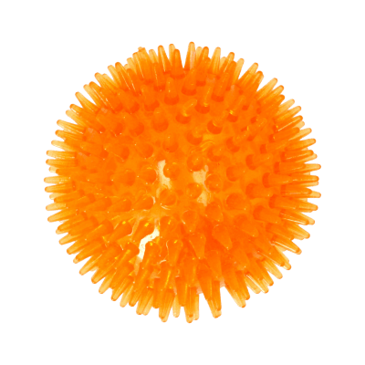 Zoom bild av Cyberspace_Hundcenter_hundleksak_boll