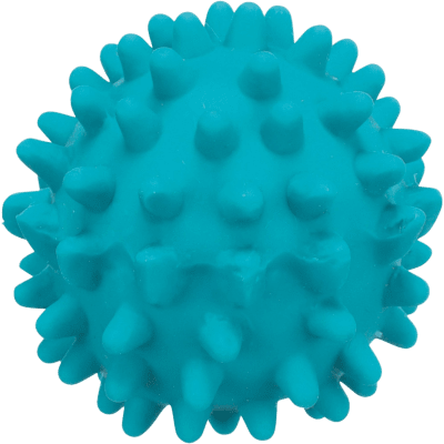 Zoom bild av Igelkottboll - Hundleksak (Diameter 6 cm) 