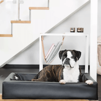 Zoom bild av Biabädd_original_Cyberspace_Hundcenter