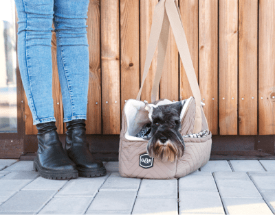 Zoom bild av Cyberspace_Hundcenter_bärväska_hund_Gustaf&Evita