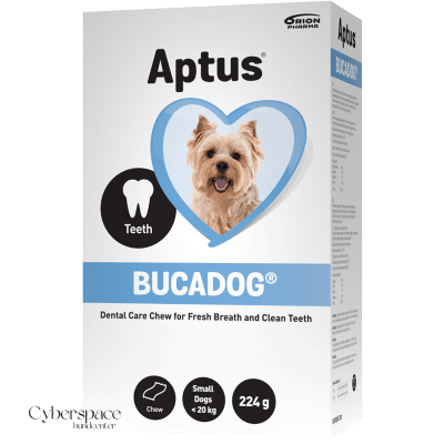 Zoom bild av Munhygien_Hund_Cyberspace_Hundcenter