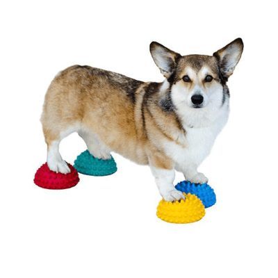 Zoom bild av Balansboll piggar Cyberspace Hundcenter