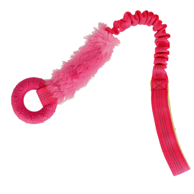 Zoom bild av cyberspace_Hundcenter_hundleksak