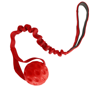 Zoom bild av cyberspace_Hundcenter_hundleksak