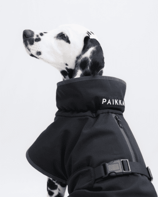 Zoom bild av Cyberspace_Hundcenter_softshell_PAIKKA