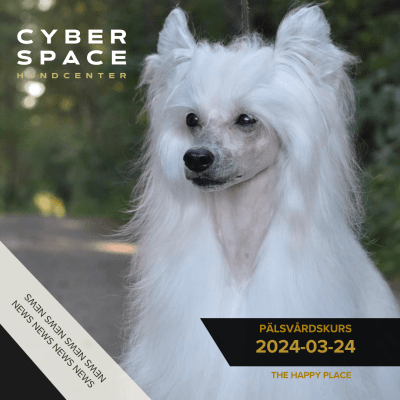 Cyberspace_Hundcenter_Hundkurser_Pälsvård