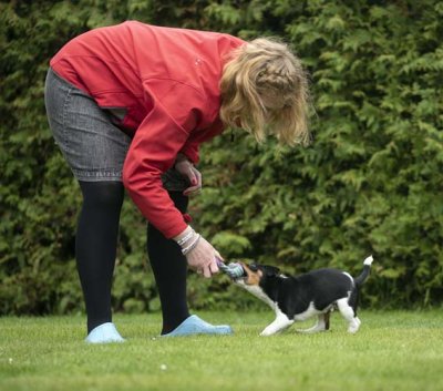 Zoom bild av Hundleksak_tuggvänlig_Cyberspace_Hundcenter_Valpleksak