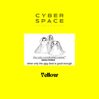 Zoom bild av Cyberspace_Hundcenter_Lainee_Wrapping_Papper