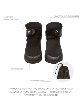 Zoom bild av Cyberspace_Hundcenter_Paikka_Hundskor